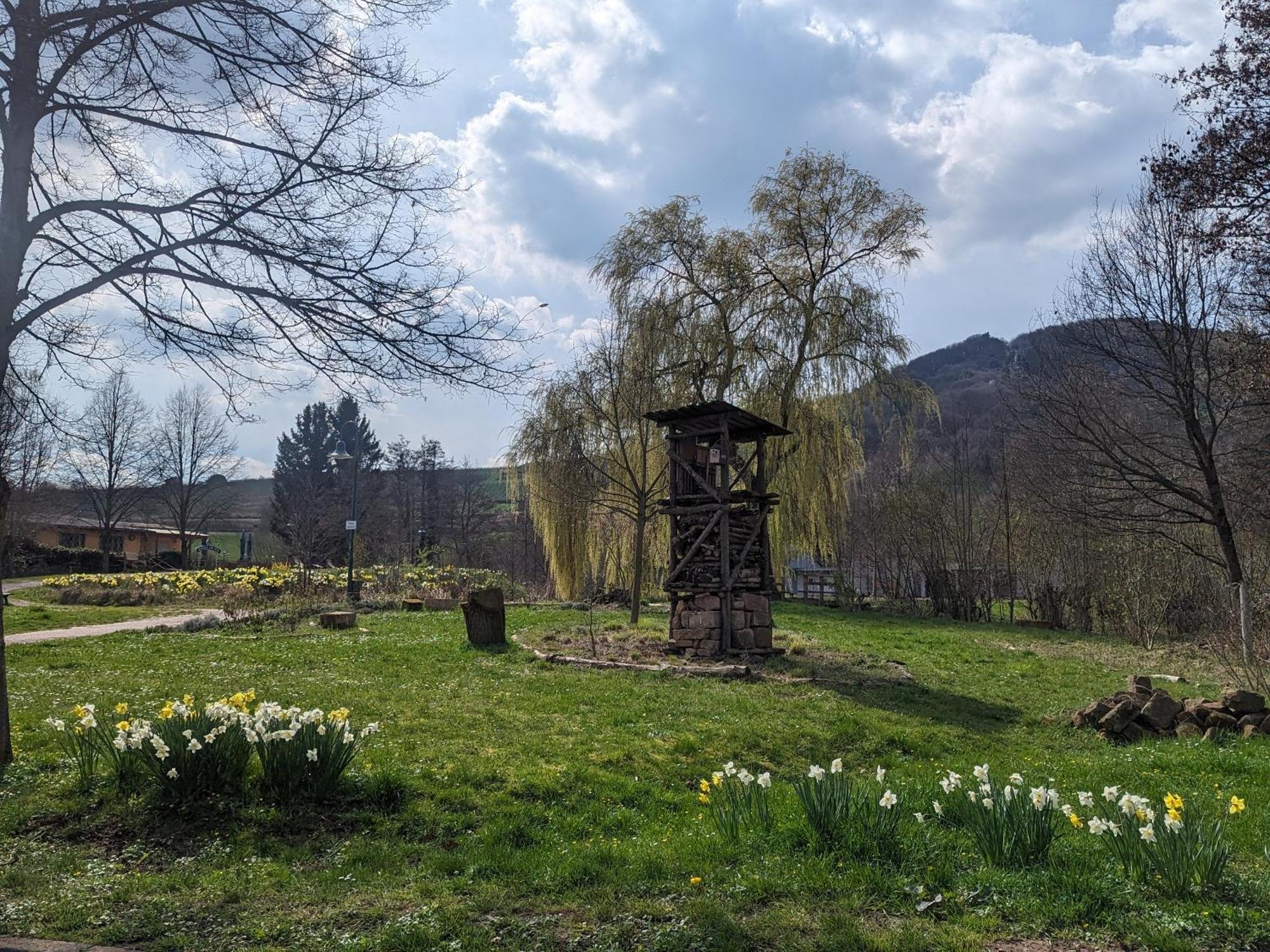 Ferienhaus Am Park Klingenmünster Екстериор снимка