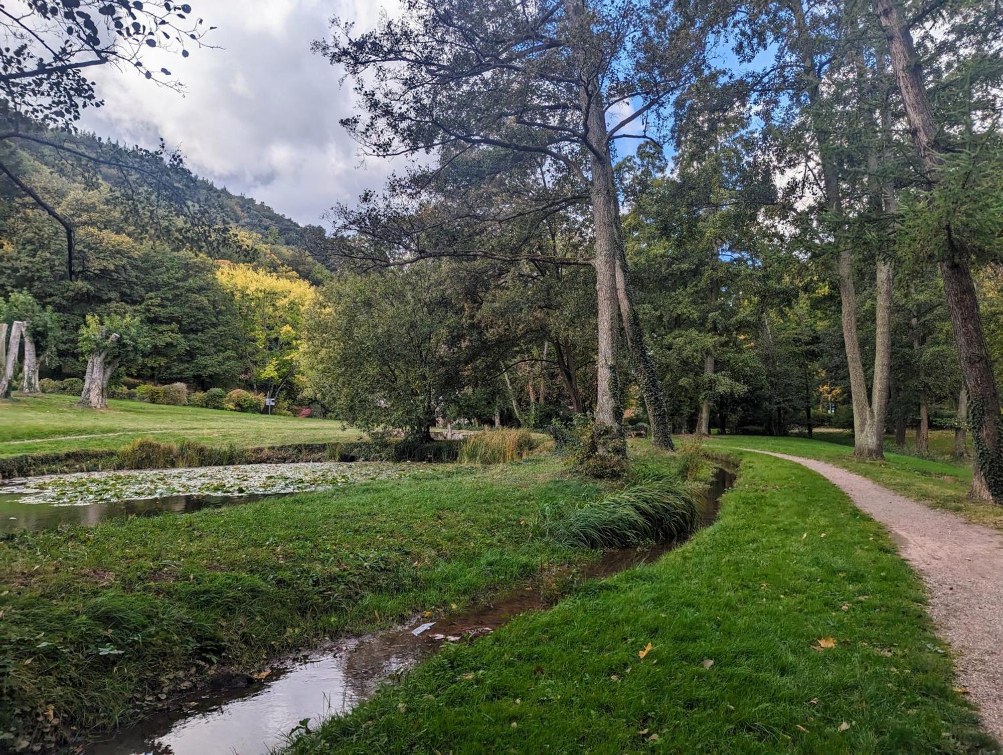 Ferienhaus Am Park Klingenmünster Екстериор снимка