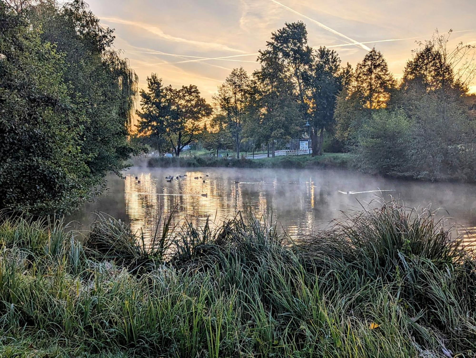 Ferienhaus Am Park Klingenmünster Екстериор снимка