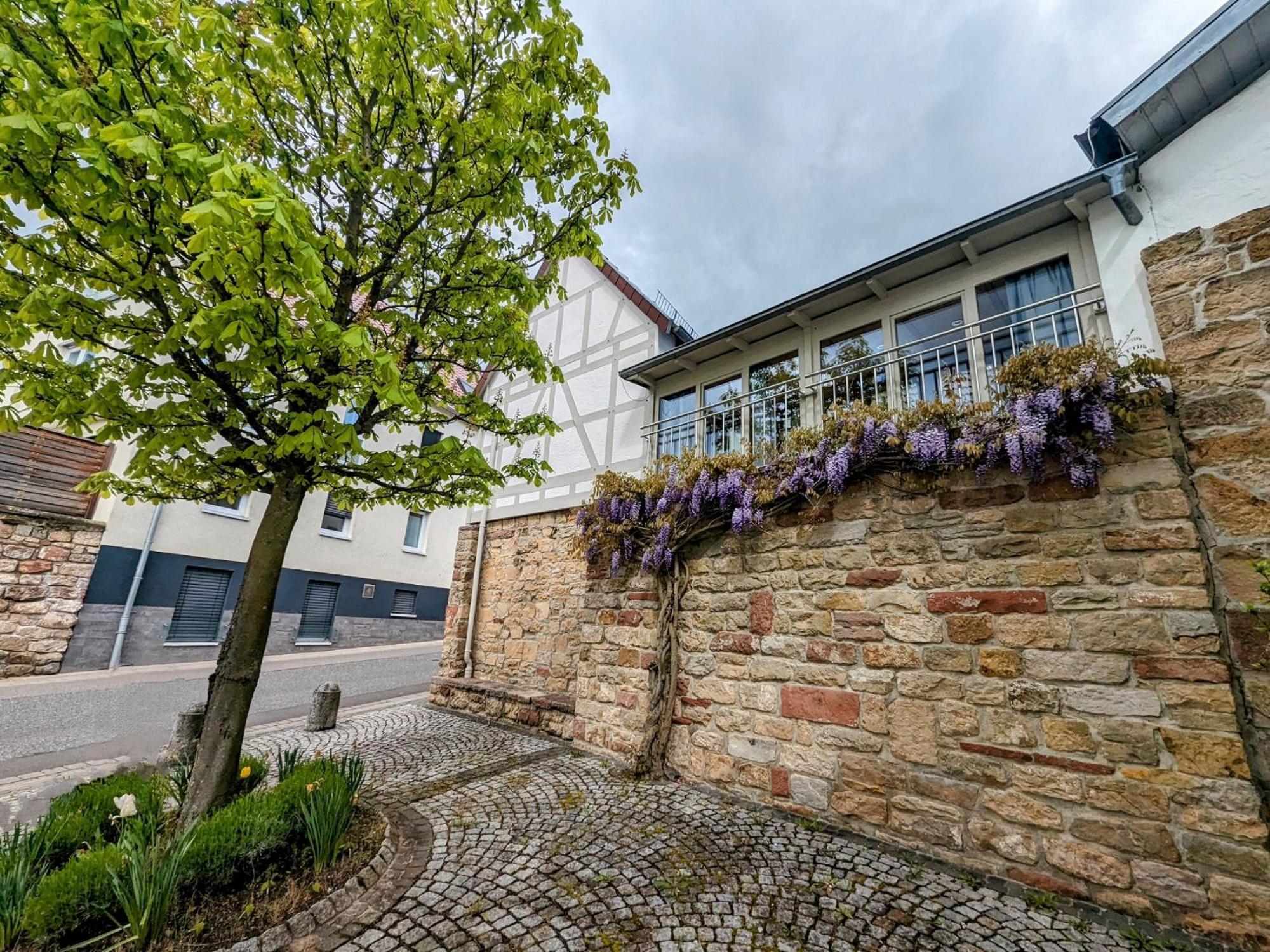 Ferienhaus Am Park Klingenmünster Екстериор снимка